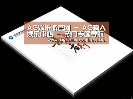 项目名称七