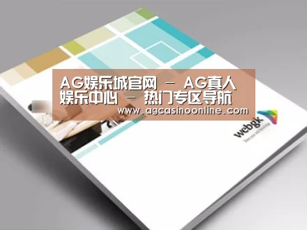 项目名称九