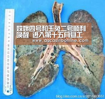 嫦娥四号和玉兔二号顺利唤醒 进入第十五月昼工作期‘AG专区’(图4) AG娱乐城