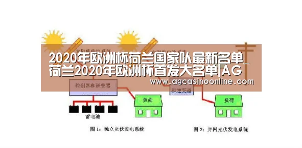 2020年欧洲杯荷兰国家队最新名单_荷兰2020年欧洲杯首发大名单|AG专区(图2) AG专区
