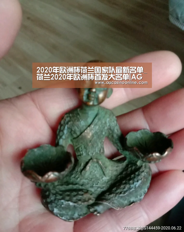 2020年欧洲杯荷兰国家队最新名单_荷兰2020年欧洲杯首发大名单|AG专区(图4) AG娱乐